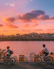 2012中文字幕电影中文字幕-2012，中文字幕下的电影之旅
