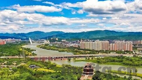 成人免费观看在线视频-网络世界的灰色地带