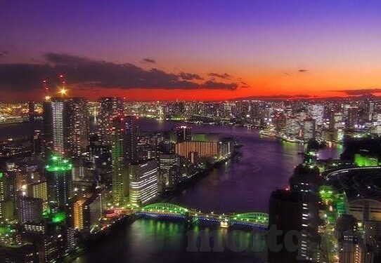 大象传媒app安卓-探索大象传媒APP在安卓平台的创新与影响