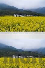 大象传媒app下载网址-探索大象传媒app，解锁娱乐新视界