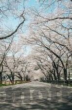 麻豆91av视频-选择健康生活的重要性