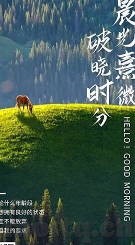 糖心vlog官网首页蜘蛛-糖心Vlog官网的蜘蛛之舞，探秘视频创作与分享的奇幻之旅
